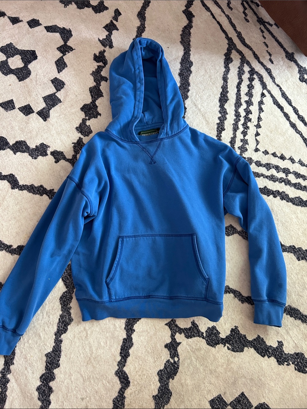 American Eagle Outfitters Light Blue Hoodie